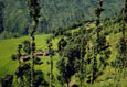 NEPAL-traumhaftes-Tal-zum-Trekking
